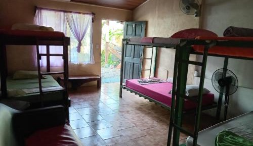 6-Bed Mixed Dormitory Room