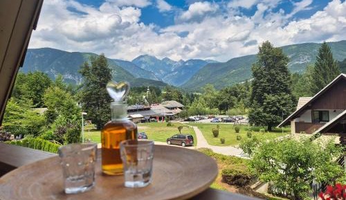 Apartment with Mountain View
