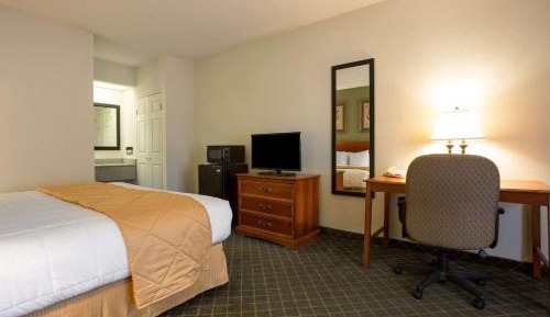 King Room - Non-Smoking