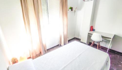 Economy Single Room