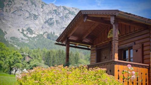 Single Room with Garden View