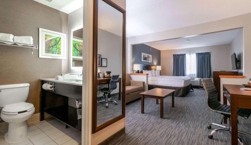 Deluxe King Room with Roll-In Shower - Mobility/Hearing Accessible - Non-Smoking