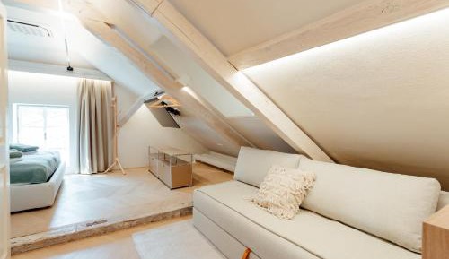 One-bedroom Loft Apartment 
