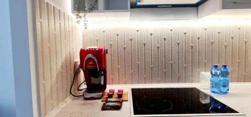 Two-Bedroom Deluxe Apartment