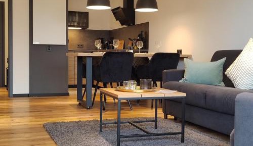 Superior One-Bedroom Apartment with Balcony