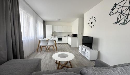 Two-Bedroom Standard Apartment