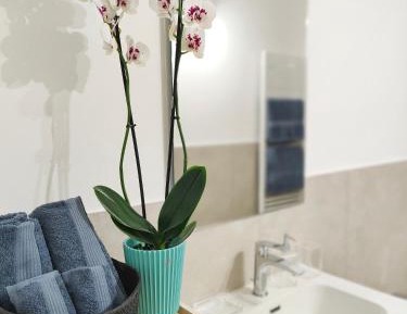 Twin Room with Shared Bathroom