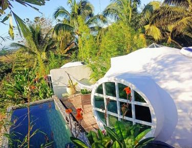 Deluxe Double or Twin Room with Pool Access