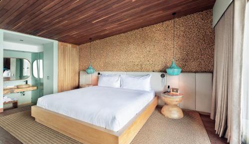 One-Bedroom Presidential King Suite with Sofa Bed and Lake View