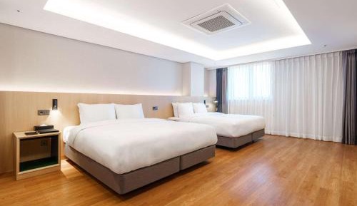 ibis Executive