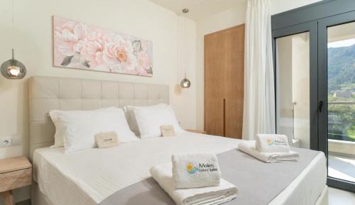 Deluxe Queen Suite