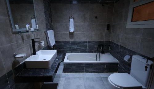 Deluxe Double or Twin Room with Mountain View