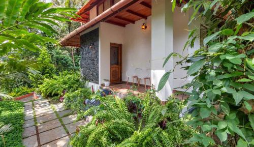 One-Bedroom Villa