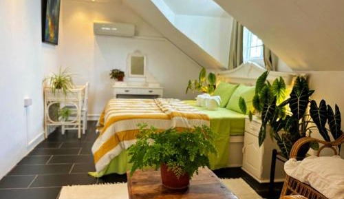 Deluxe Double Room with Shower