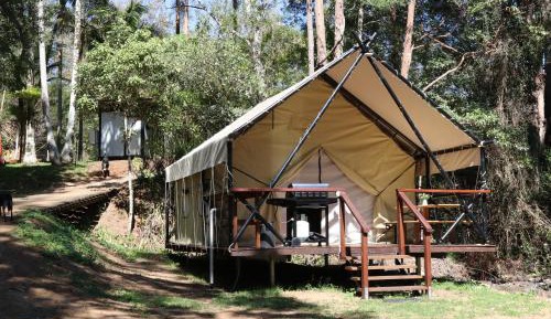 Tent