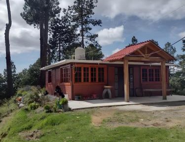 Family Bungalow