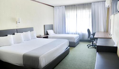 Twin Room - Disability Access