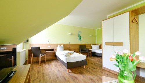 Basic Triple Room