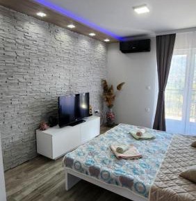 Studio with Terrace