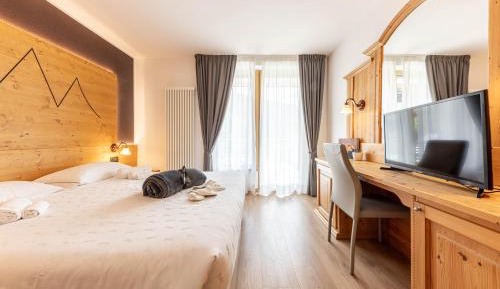 Standard Double or Twin Room