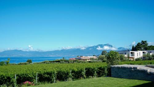 One-Bedroom Apartment with Lake View