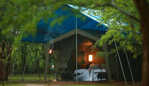 Glamping bordering Udawalawe with a Night Walk
