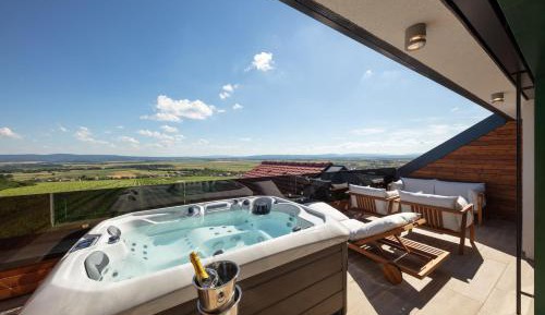 Deluxe One-Bedroom Apartment with City View