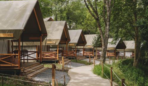 Glamping Family Plus