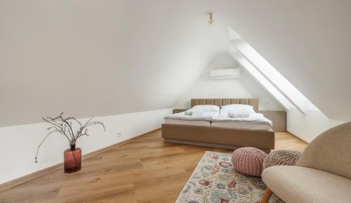 Duplex Apartment