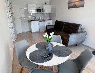 One-Bedroom Family Apartment