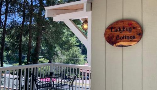 Lady Bug (Queen Studio)