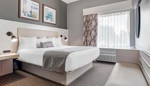 King Suite with Sofa Bed - Non-Smoking