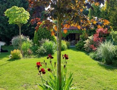 Double Room with Garden View