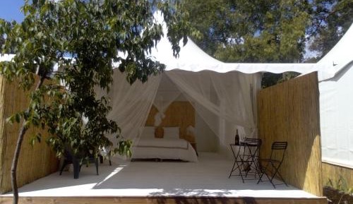 Tent1