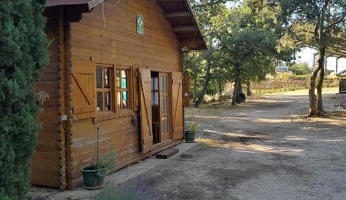 One-Bedroom Chalet