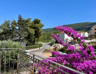 King Studio with Sofa Bed