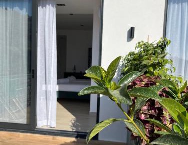 Deluxe Double or Twin Room with Balcony