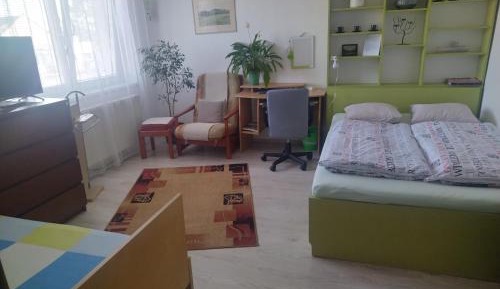 Double Room with Garden View