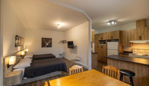 1 Bedroom Apartment - Ground Floor
