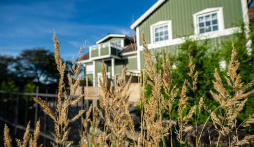 Holiday Home