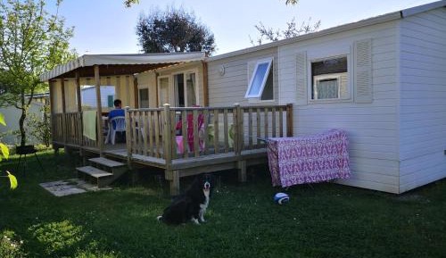 Mobile Home
