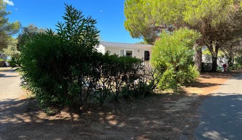 Two-Bedroom Bungalow