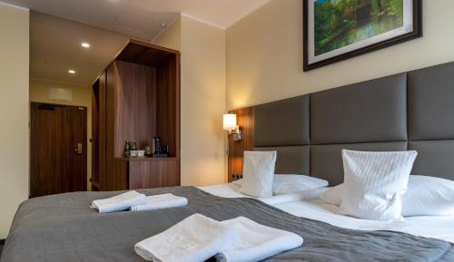 Superior Deluxe Double or Twin Room 