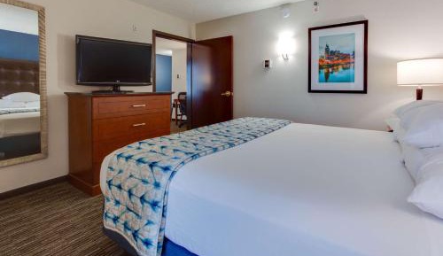 King Suite with Sofa Bed