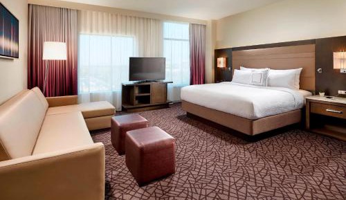 1 King Studio Suite with Sofa Bed 