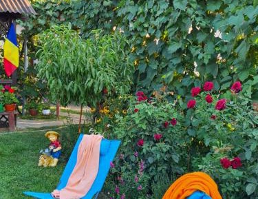 Double Room with Garden View