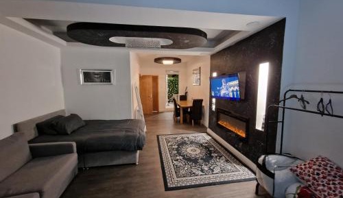 Deluxe One-Bedroom Apartment