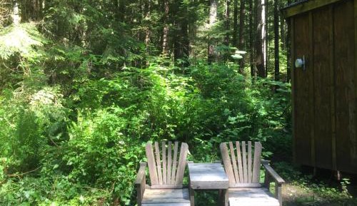 Sunrise Yurt (Shared shower, Pet Friendly, Pet Fee Not Included)