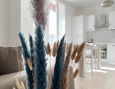 Classic Apartment