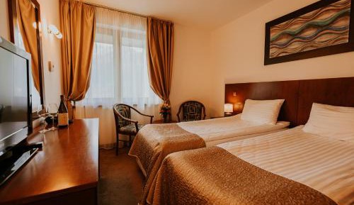 Twin Room with Spa Access